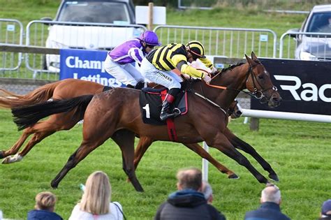 irishracing.com .